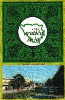 Picture for song 'Vraticu se ja' by artist 'Teslicki orkestar 204'