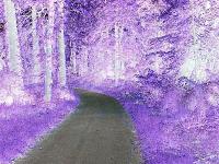 Picture for song 'The Dark Side' by artist 'TEWB'