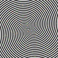 Picture for song 'Thai Rice' by artist 'Texas Barbudos'