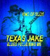 Picture for song 'Bad Side of Town' by artist 'Texas Jake's Houserockers'