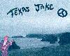 Picture for song 'Waves' by artist 'Texas Jake's Houserockers'