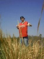 Picture for song 'DO WHAT I DO' by artist 't ghozt'