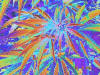 Picture for song 'Acid Dreams' by artist 'Tha Buddha Junkie'
