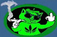 Picture for song 'Settin It Straight' by artist 'Tha Buddha Junkie'