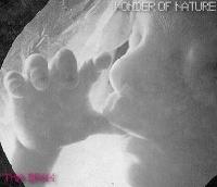 Picture for song 'Wonder Of Nature (Vocal Mix)' by artist 'Tha DraX'