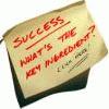 Picture for song 'Whatever It Takes (remix)' by artist 'ThaLyricalMasterMind'