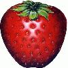 Picture for song 'Fruity Rolls' by artist 'thanks4calling'