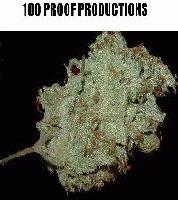 Picture for song 'kartoon_sweet dreamz(feat marilyn mansion sample)' by artist 'tHa PrOpHeCy aka KaRtooN'