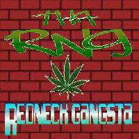 Picture for song 'Fake Rappers' by artist 'Tha RNG'