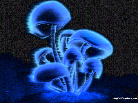 Picture for song 'The New York Snipa' by artist 'thatkidchris'