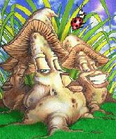 Picture for song 'Thoughtz & Rans - OH NOOO!' by artist 'thatkidchris'