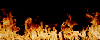 Picture for song 'Fire Water ( 4 Sale )' by artist 'Tha Track Factory'
