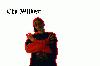 Picture for song 'We Got It' by artist 'tha wildest aka Highbrid'