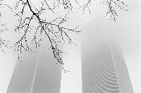 Picture for song 'Let's Roll' by artist 'The 3 Agent Orangjuice Sippers'