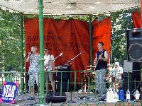 Picture for song 'little wing' by artist 'the 4tune cookies'