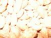 Picture for song 'Pensive' by artist 'the absurdist quintet'