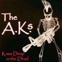 Picture for song 'Lazy' by artist 'The A K s'