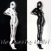 Picture for song 'Facelift (demo)' by artist 'The Amazing Multzi'