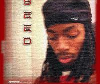 Picture for song 'City Life - Seed Popular' by artist 'The Amphibians'