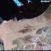 Picture for song 'Junk F*ck' by artist 'The Anoymous Music Explosion'