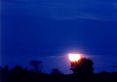 Picture for song 'CAJUN MOON' by artist 'THE ARCADE SUPERHERO'