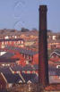 Picture for song 'Destiny Be Fair (Blackburn Version)' by artist 'THE ARCADE SUPERHERO'