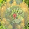 Picture for song 'One Wonders' by artist 'The Asterisk Lounge'