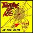 Picture for song 'IN THE ATTIC' by artist 'THEATRE OF ICE'