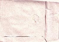 Picture for song 'Candy Girl' by artist 'The Awesome Slugs'