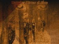 Picture for song 'Disposable' by artist 'The Band DVS'