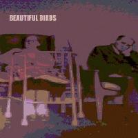 Picture for song 'Colours' by artist 'The Batty Connection of RuMuJo and Josefine Lovemachine'