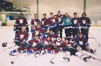 Picture for song 'brendan shanahan' by artist 'the benevolent explosives'
