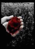 Picture for song 'Death' by artist 'the Blue Cell'