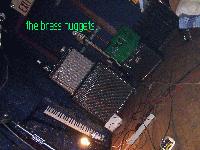 Picture for song 'song no.5 (take back the rainbow)' by artist 'the brass nuggets'