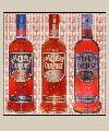 Picture for song 'the party iz here( feat m.coop)' by artist 'the brawlic brothers'