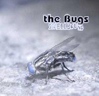 Picture for song '5.01 - Fogbound (2of7)' by artist 'The Bugs'