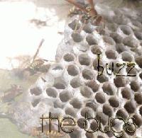 Picture for song 'Coe De Atae' by artist 'The Bugs'