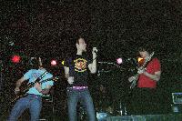 Picture for song 'Damp Around The Guild' by artist 'The Calefaction'