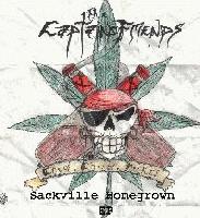Picture for song 'The HOADLEY Boot Stomp Rock' by artist 'The Captain's Friends'