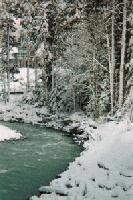 Picture for song 'Cold December' by artist 'The Chameleons'