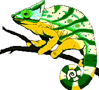 Picture for song 'Why' by artist 'The Chameleons'