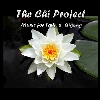 Picture for song 'Are You Still Shining?' by artist 'The Chi Project'