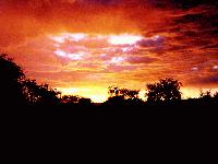 Picture for song 'Just now' by artist 'the chordman'