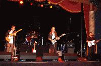 Picture for song 'Blue Collar Blues' by artist 'The Chris Anderson Group'