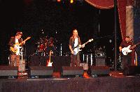 Picture for song 'Trouble With You' by artist 'The Chris Anderson Group'