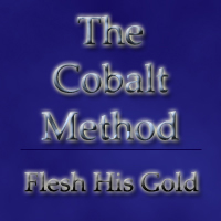 Picture for song 'Flesh His Gold' by artist 'The Cobalt Method'