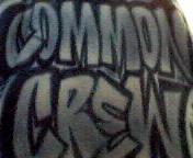 Picture for song 'Cant Stop Dis Hip Hop' by artist 'The Common Crew'