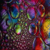 Picture for song 'Rapid Eye Movement' by artist 'The Complete Sage Collection'