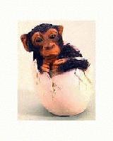 Picture for song 'Cannot I Also Have A Forehead?' by artist 'The Cosby Kid Mysteries'