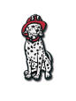 Picture for song 'Set A Dog On Fire' by artist 'The Creamo Movement'